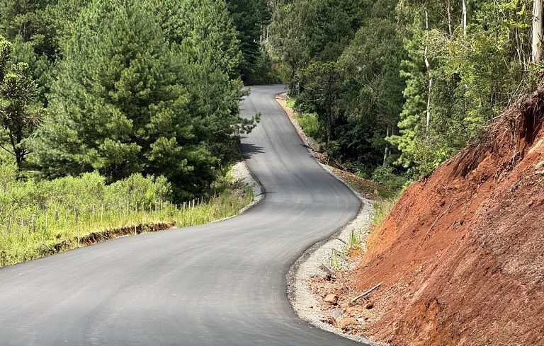 Uma estrada sinuosa que atravessa uma floresta com árvores em ambos os lados.