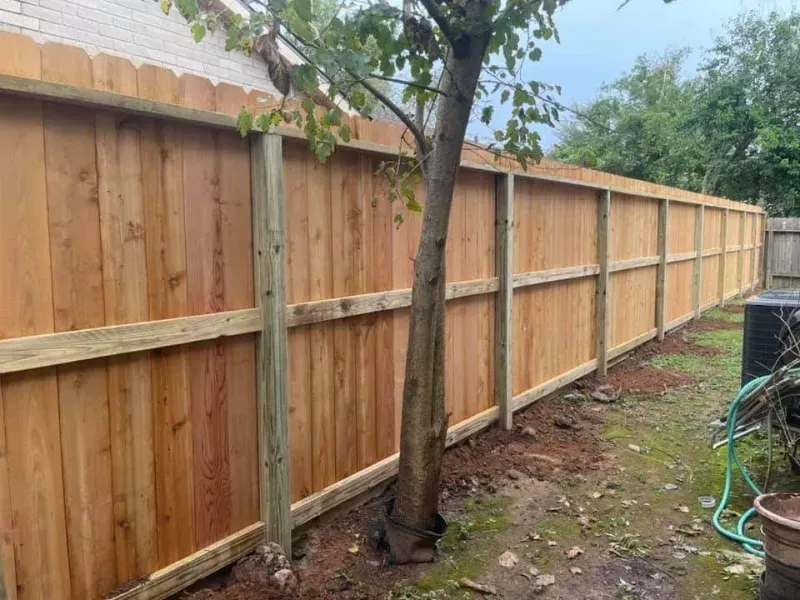 Wooden privacy fence surrounding a backyard, with a tree growing in front.