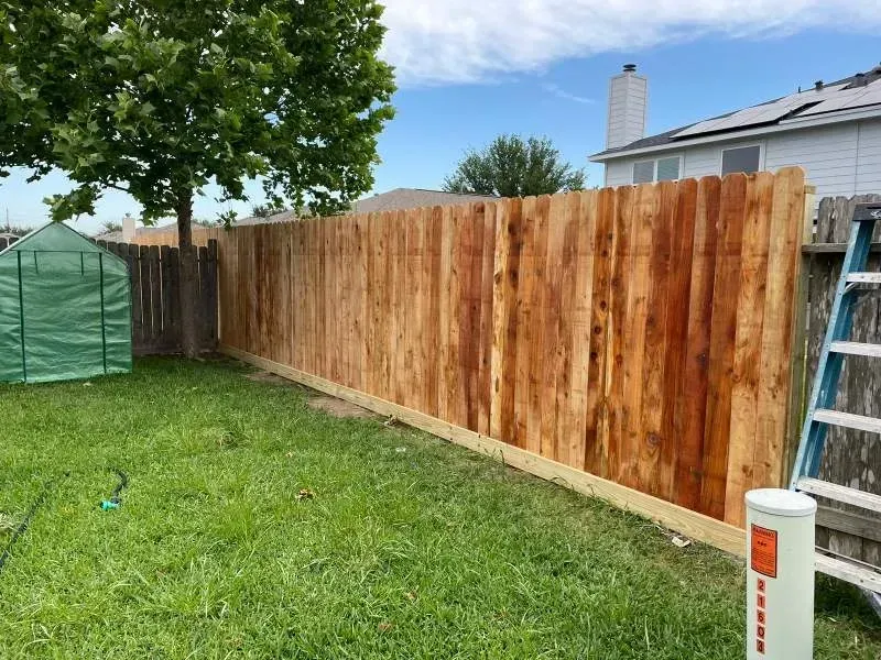 Wooden fence in a backyard with green grass, a small green structure, and a ladder.