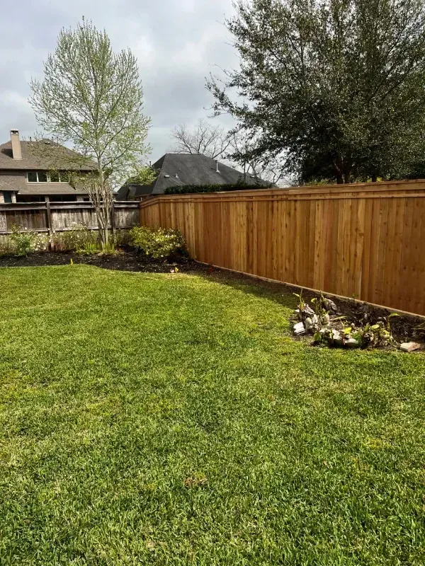 Backyard with a wooden fence, green grass, and trees under a cloudy sky.
