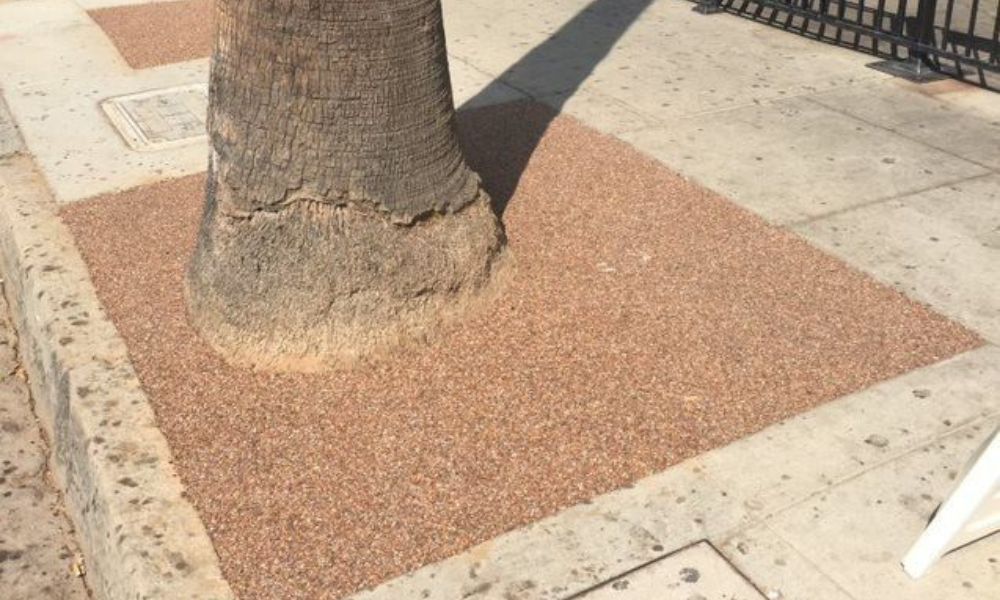 Permeable Tree Pits vs. Tree Grates: A Brief Overview