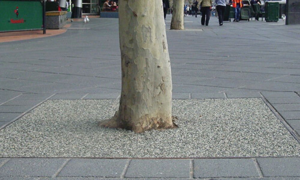 Resin-Bound Tree Pits: What Are They and What Do They Do?