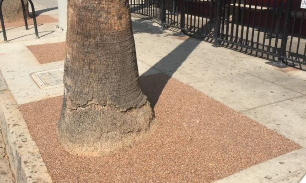 5 Reasons To Use Resin Bound for Tree Pit Surrounds
