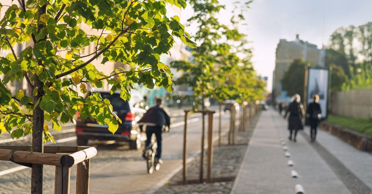 A street in the city with trees and a cyclist riding down the path. A few pedestrians are strolling on the right.