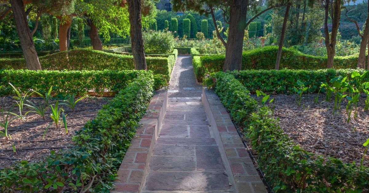 A park walkway leading to a garden surrounded by trees. Plants are starting to grow along the sides