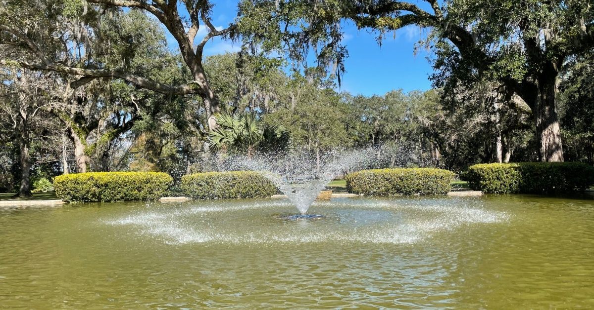 A fountain at the center of a large park spraying water, while tall trees hang over the pond during the day.