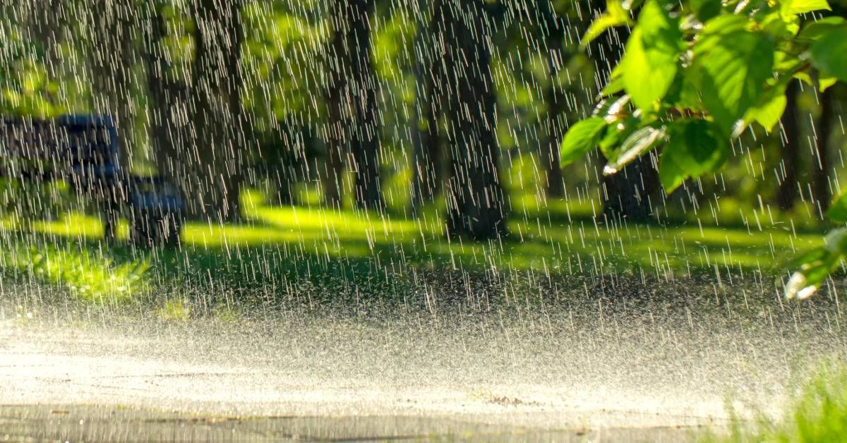 Drops of rain shower onto the pavement in a park surrounded by trees. The droplets bounce and splash off the ground.