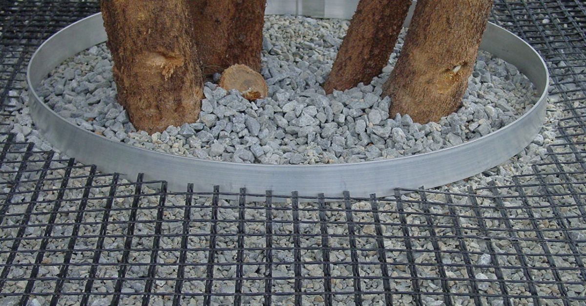 Tree Health: How Permeable Pits Improve Soil Conditions