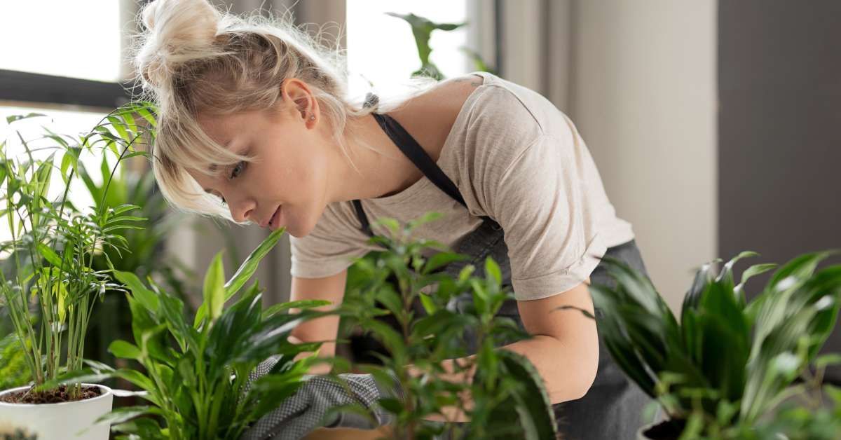 A blonde woman wearing gloves and an apron closely tending her plants on a workbench in a sunny room.