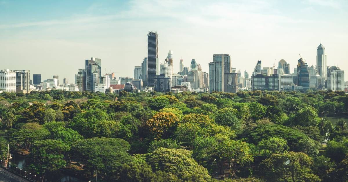 A cityscape set against a cloudy sky, a grove of trees and part of a highway with cars driving on it