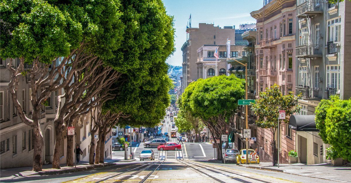 A beautiful street featuring multiple trees along the sidewalks on a very bright day with a clear sky.