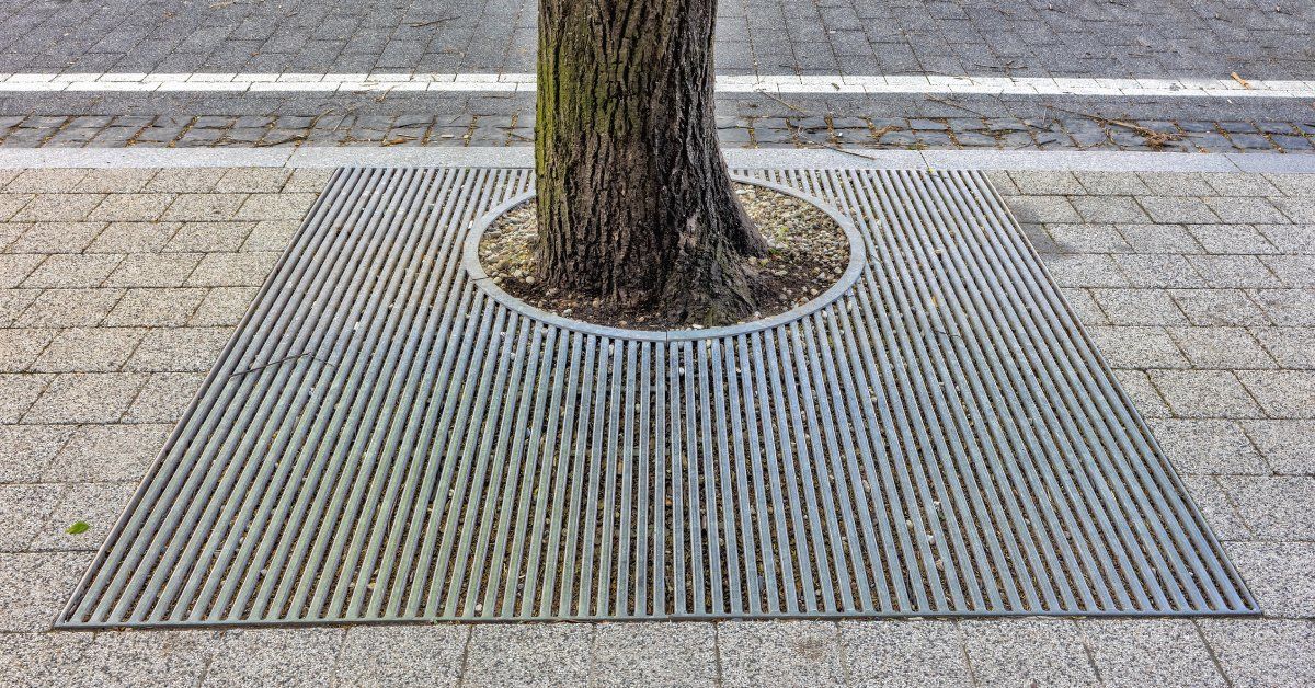 Close-up view of a metal sidewalk tree pit grate guarding the square of earth surrounding a tree trunk.