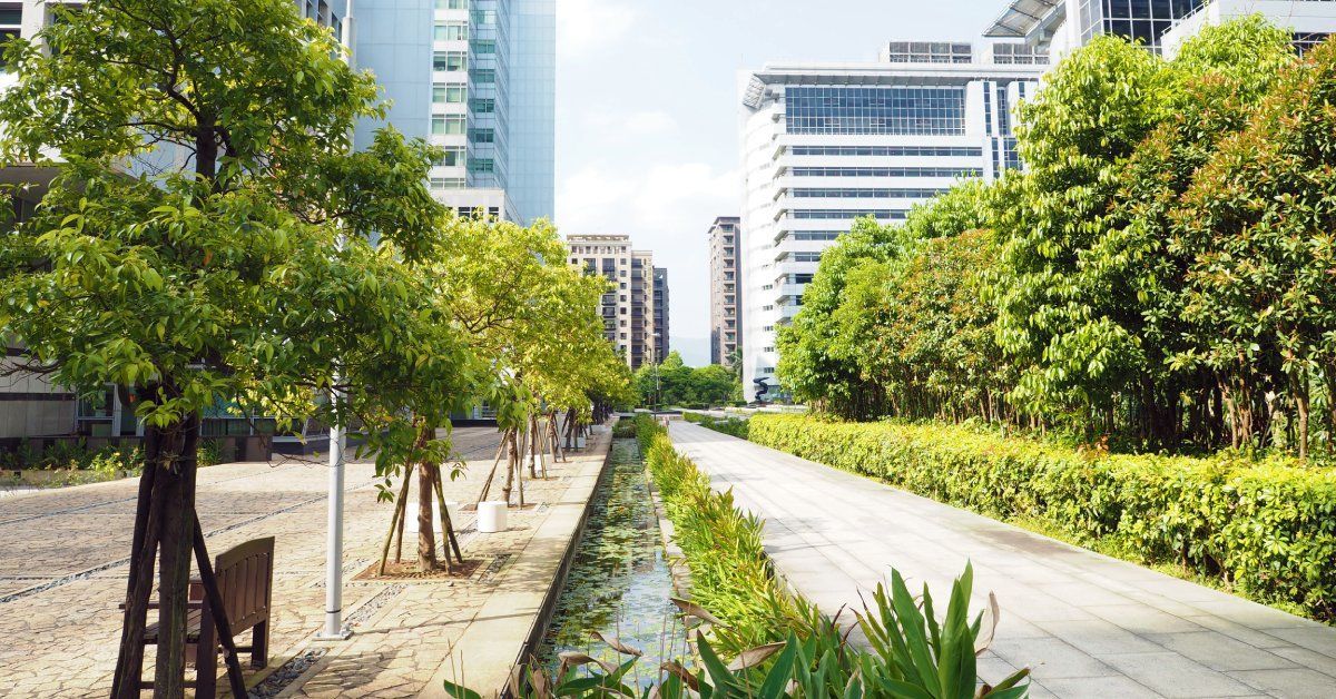 A city park showing a cobblestone street and walkway with a series of trees set in pits with metal grates beside a canal.