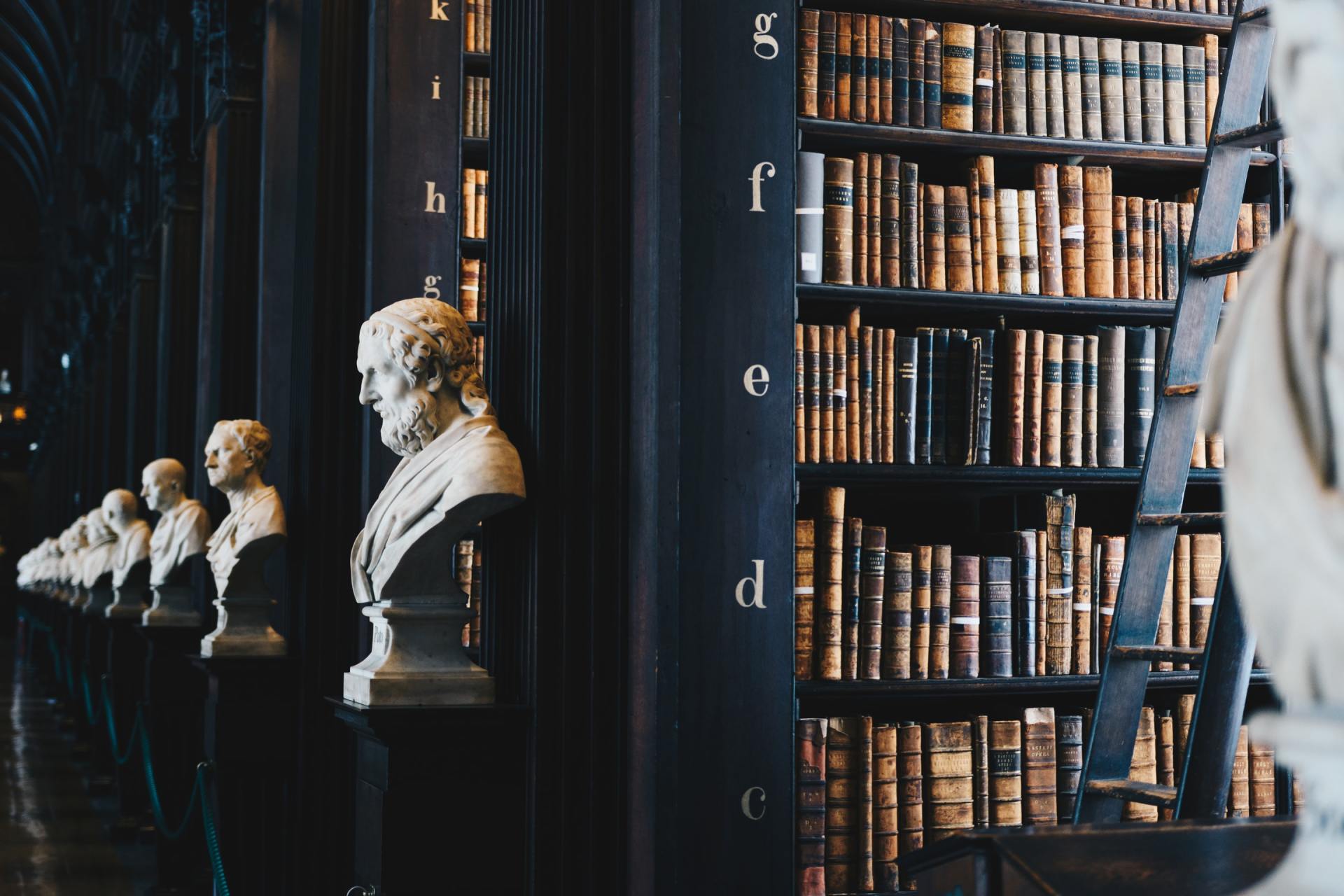 Busts displayed in a dark library beside tall bookshelves and a seated person on the right