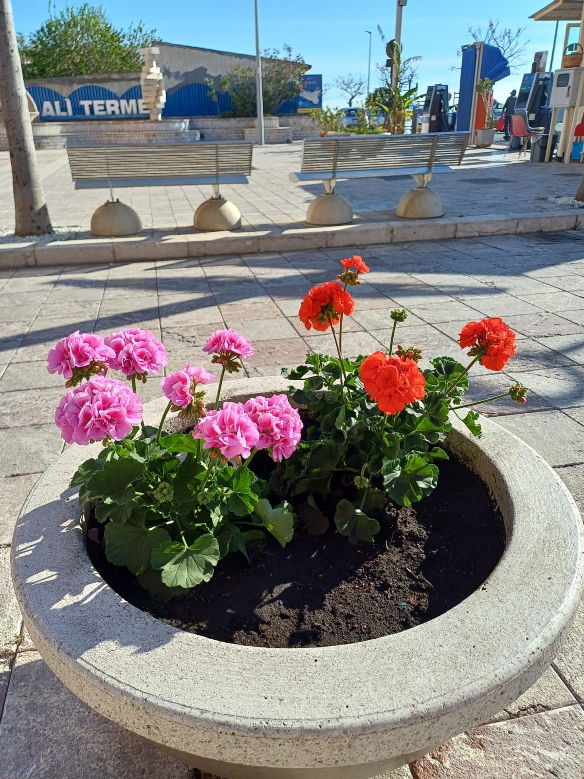 aree verdi pubbliche