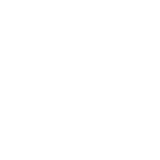 Quality workmanship icon