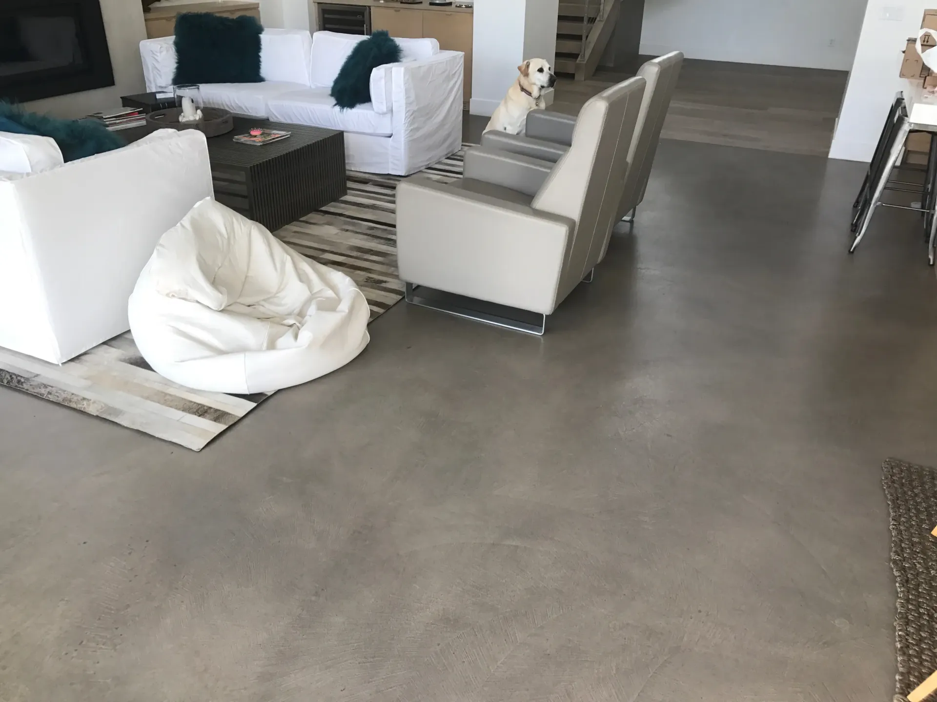 A living room with a couch , chairs , bean bag chairs and a dog.