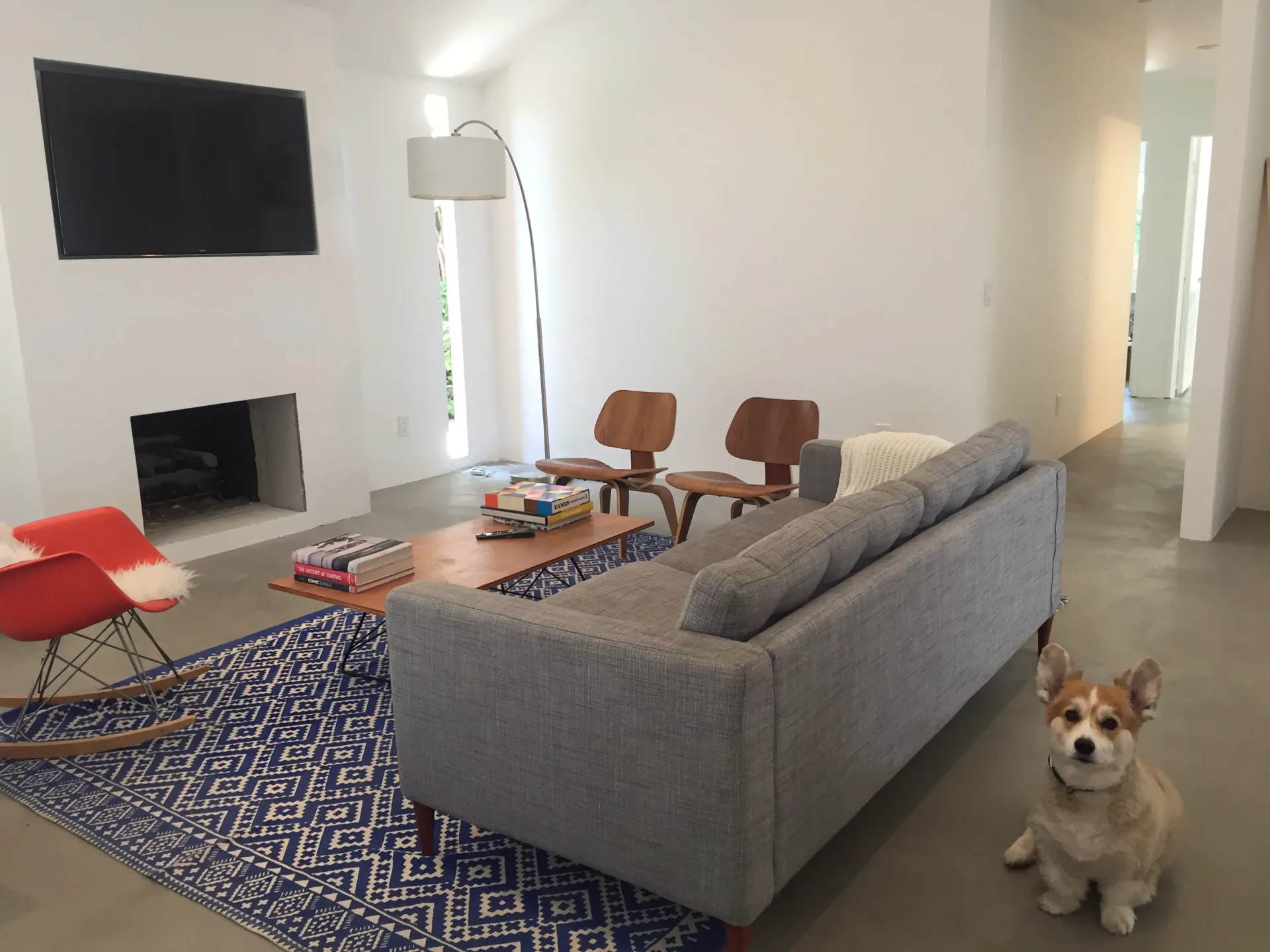 A dog is sitting in a living room next to a couch
