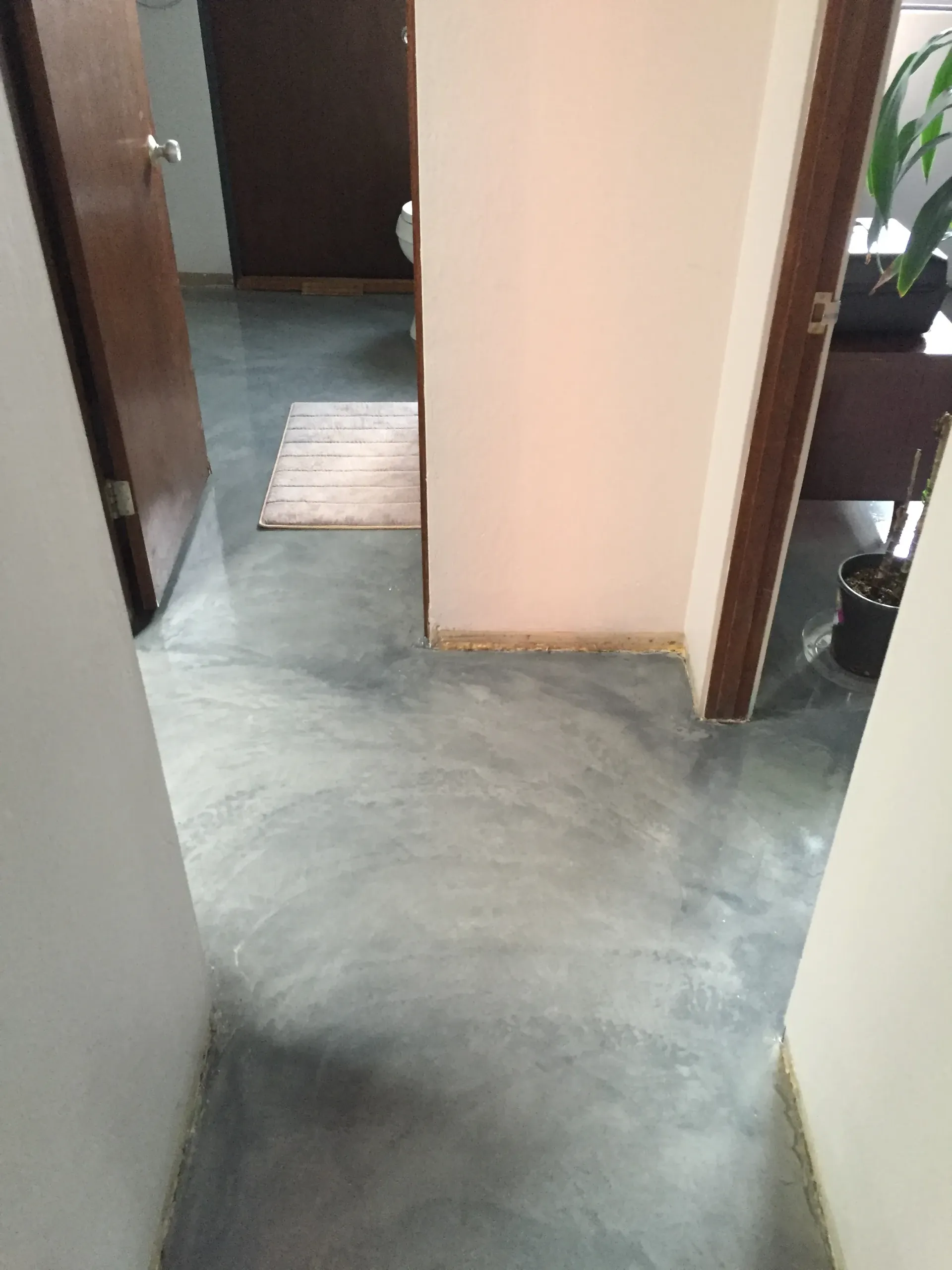 A hallway with a concrete floor and a plant on the floor.