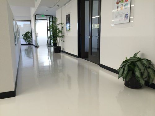 There is a plant in the middle of the hallway.