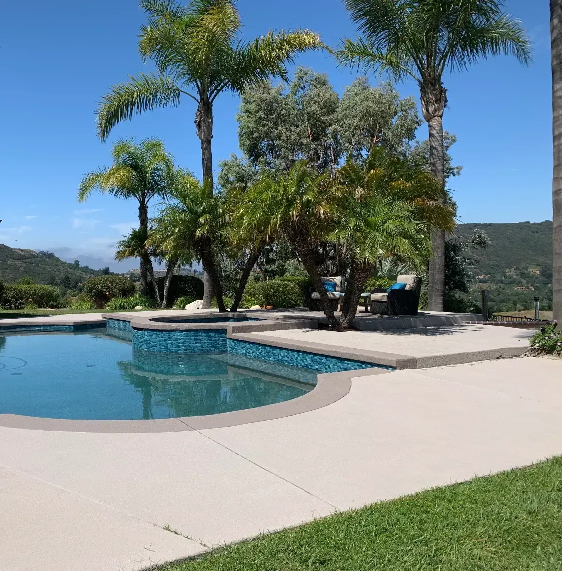 A large swimming pool surrounded by palm trees on a sunny day