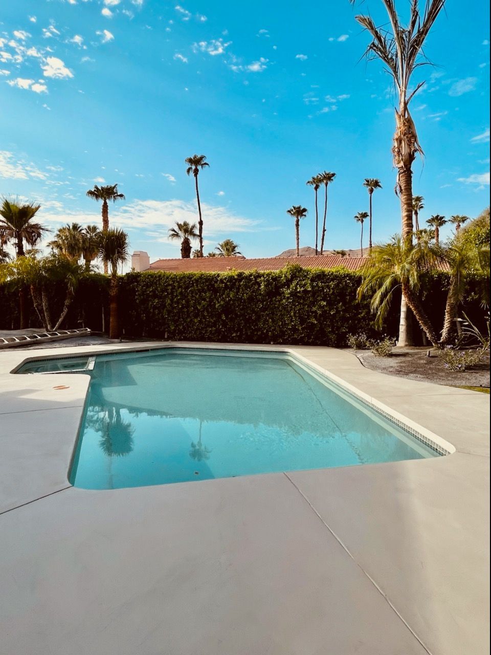 A large swimming pool with palm trees in the background