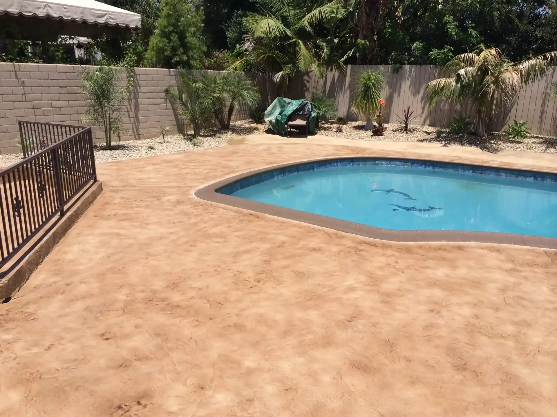 A large swimming pool in a backyard with a fence around it