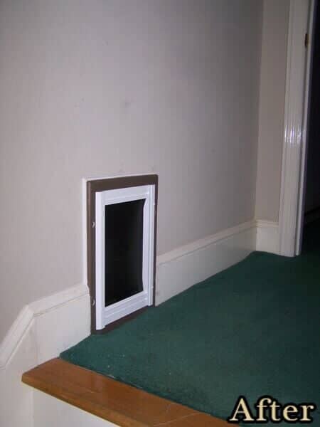 Pet Door - Home Inspections in Tallahassee, FL