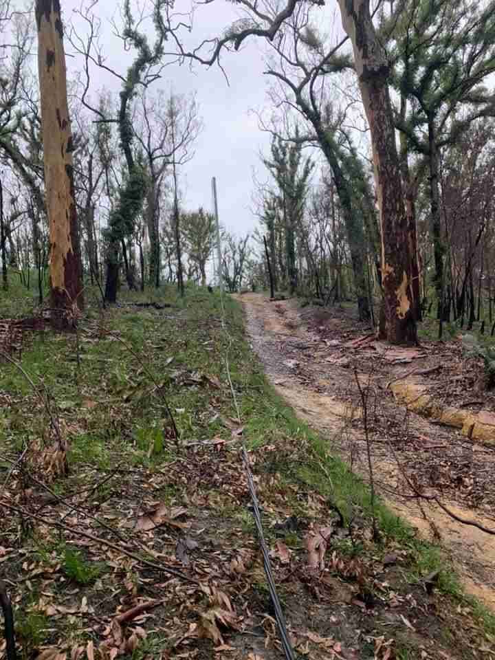 A Dirt Road in The Middle of A Forest Surrounded by Trees — Bay Coast Electrical & Control Solutions in Maloneys Beach, NSW