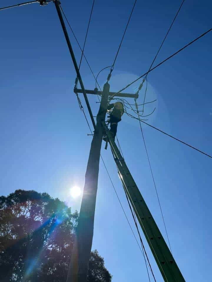 Looking up At a Power Pole with The Sun Shining Through the Trees — Bay Coast Electrical & Control Solutions in Maloneys Beach, NSW