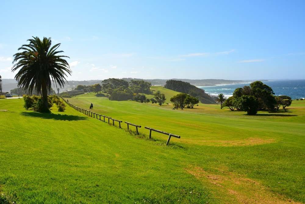 A Golf Course With A Palm Tree In The Foreground And The Ocean In The Background — BayCoast Electrical & Control Solutions in Narooma, NSW