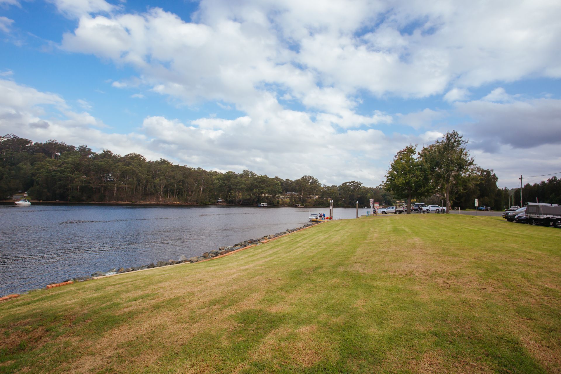 A Lake With Plants and Trees — BayCoast Electrical & Control Solutions In Nelligen, NSW