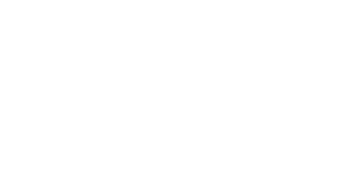 punta alice village logo