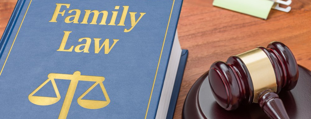 what-kind-of-cases-do-family-law-attorneys-handle