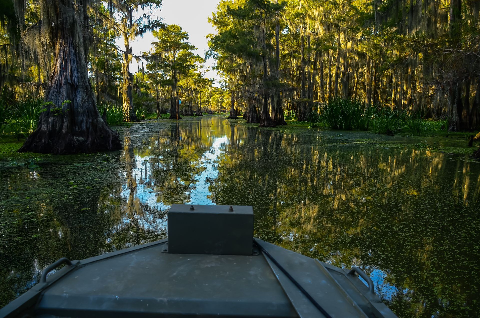 A boat is floating on a river surrounded by trees.