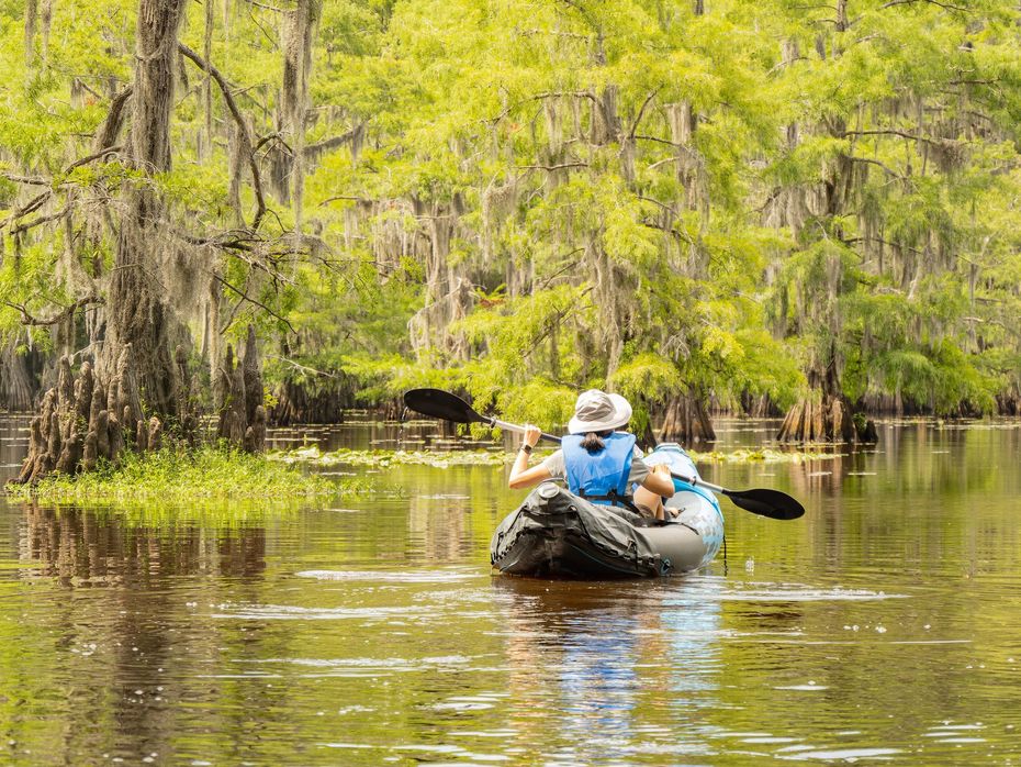 A person is paddling a kayak on a river surrounded by trees.