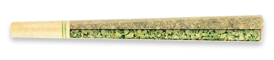 Joint filled with green plant matter and a tan filter tip, lying on a white surface.