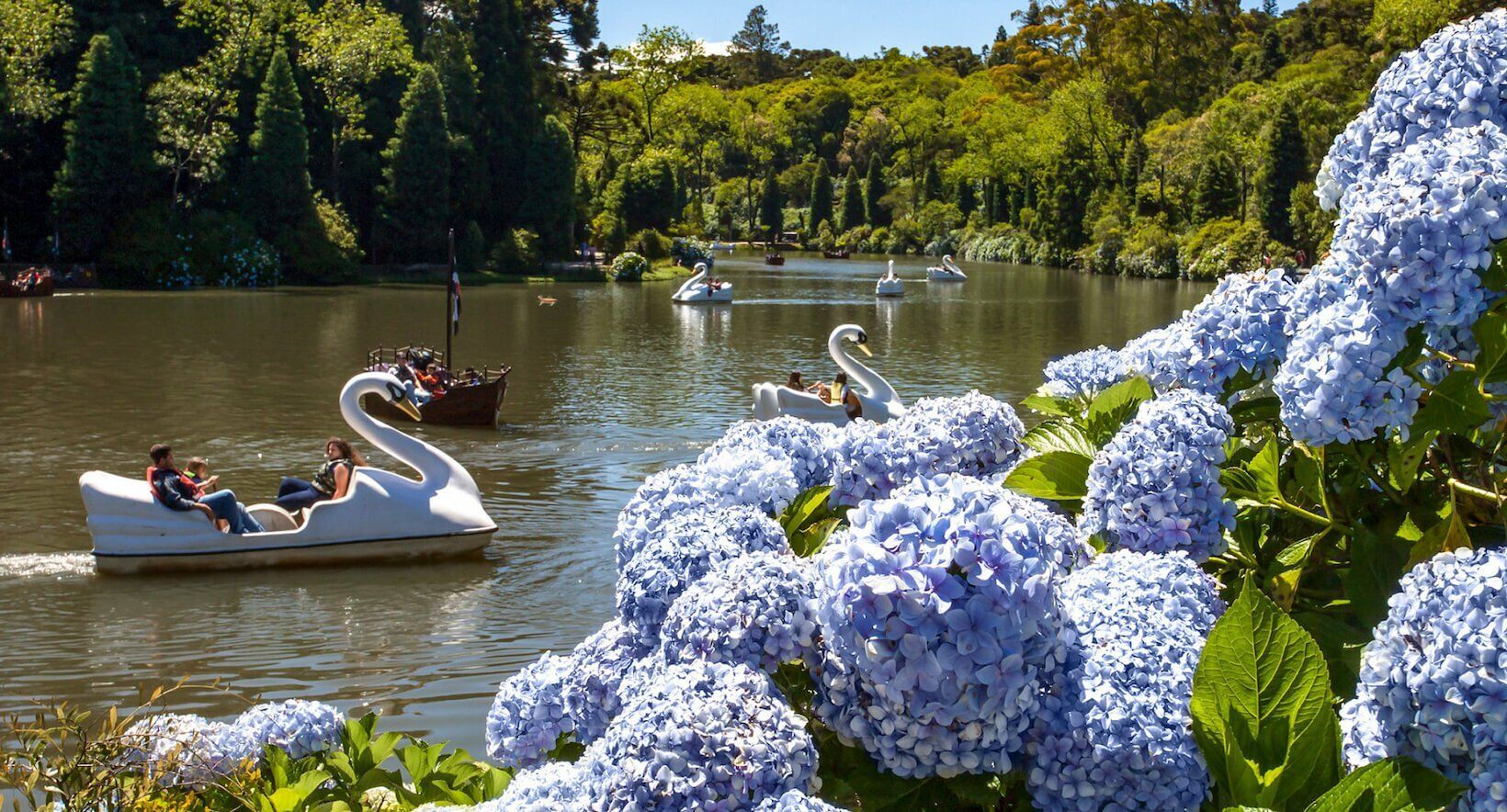 Um grupo de pessoas anda de pedalinho em um lago cercado de flores.