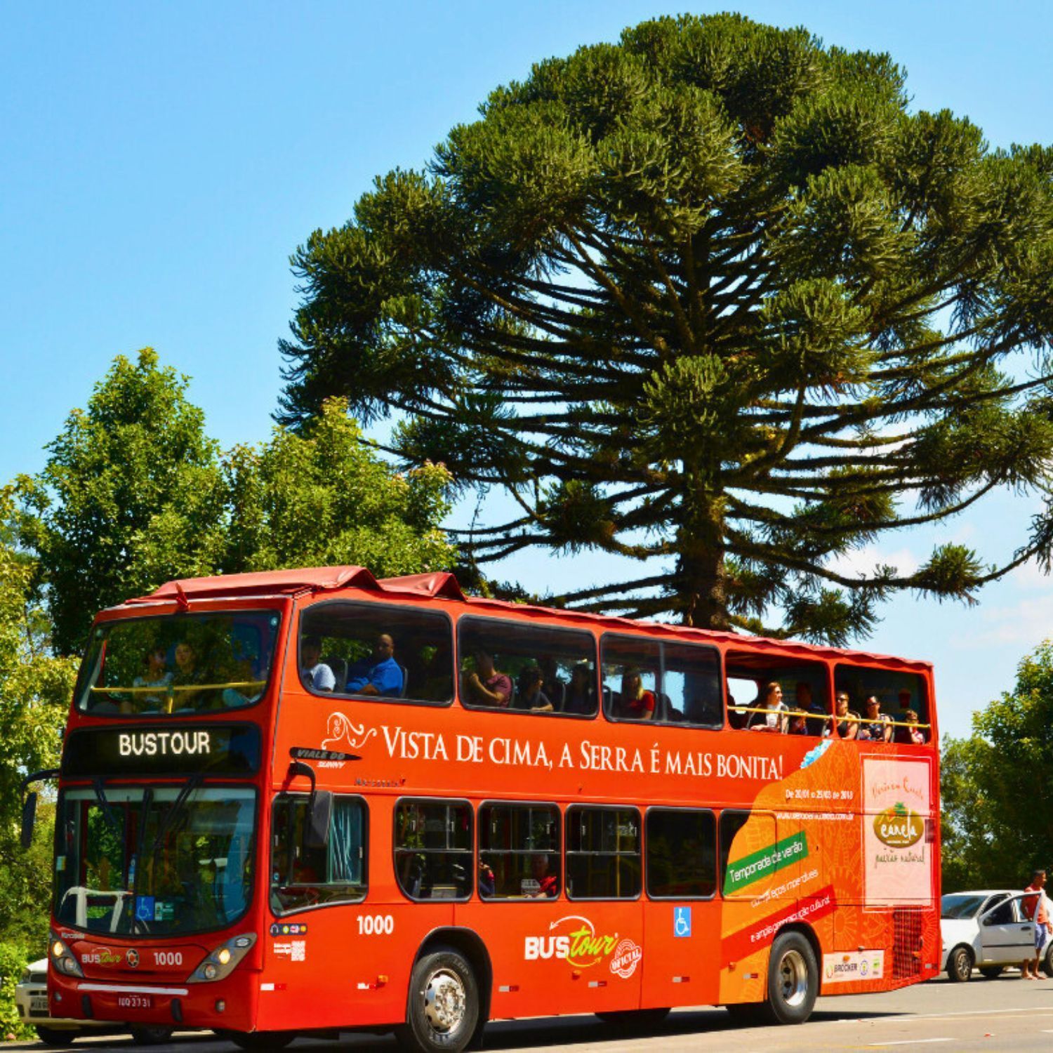 BusTour Foto: Divulgação