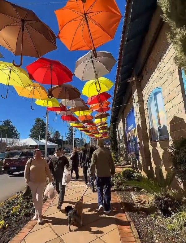 Decoração de guarda-chuvas coloridos na Temporada de Inverno em Canela Crédito - Instagram Canela RS Decoração de guarda-chuvas coloridos na Temporada de Inverno em Canela Crédito - Instagram Canela RS