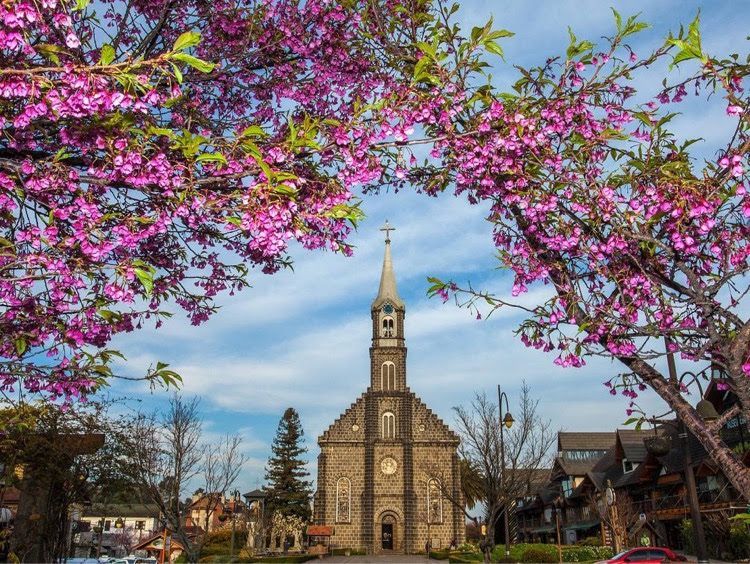 Uma igreja cercada por árvores com flores rosas na frente.