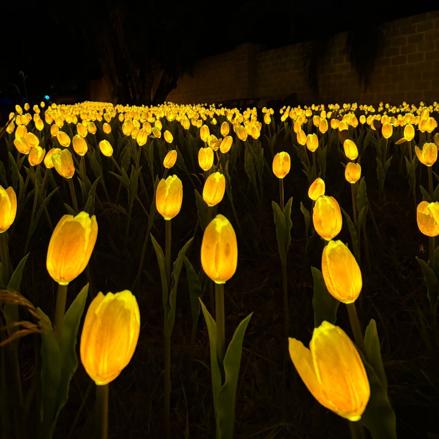 Lumni Experience Parque de Luzes em Gramado Lumni Experience Parque de Luzes em Gramado