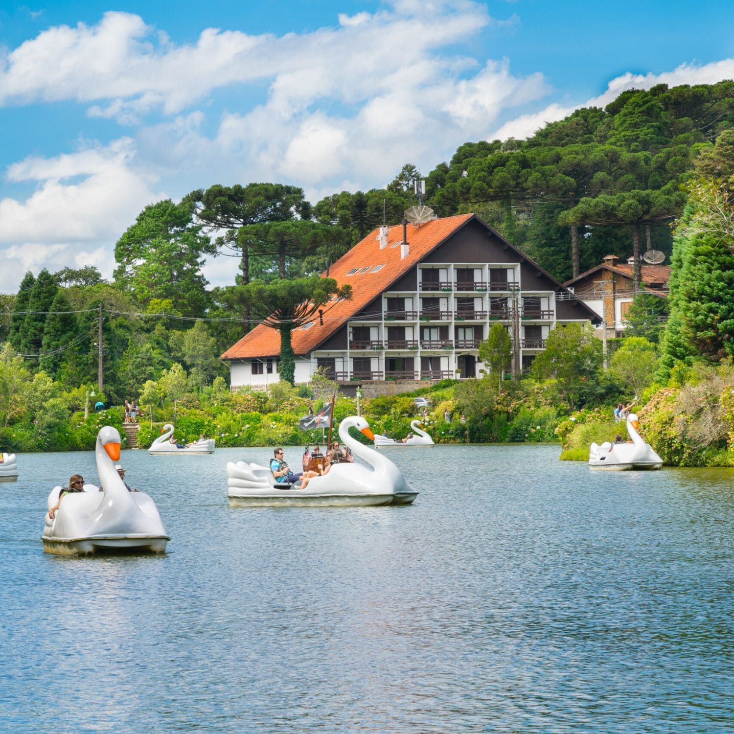 Pedalinhos e vegetação no Lago Negro em Gramado