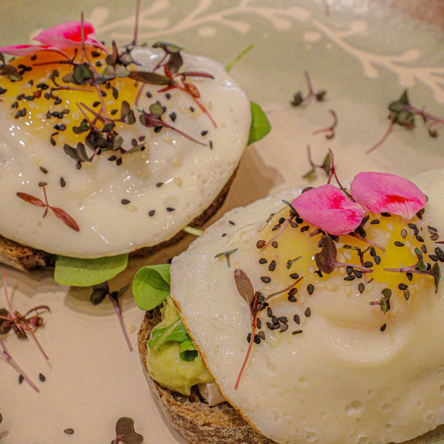 Roteiro Gastronômico Festival de Gastronomia de Gramado Dom de Sucre Café Tartine à L’Avocat Roteiro Gastronômico Festival de Gastronomia de Gramado Dom de Sucre Café Tartine à L’Avocat