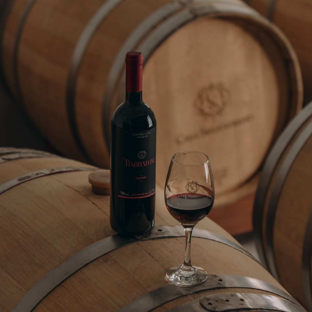 Vinícola Seganfredo Vinícolas em Gramado conheça as opções de enoturismo na cidade Blog Gramado Oficial Vinícola Seganfredo Vinícolas em Gramado conheça as opções de enoturismo na cidade Blog Gramado Oficial