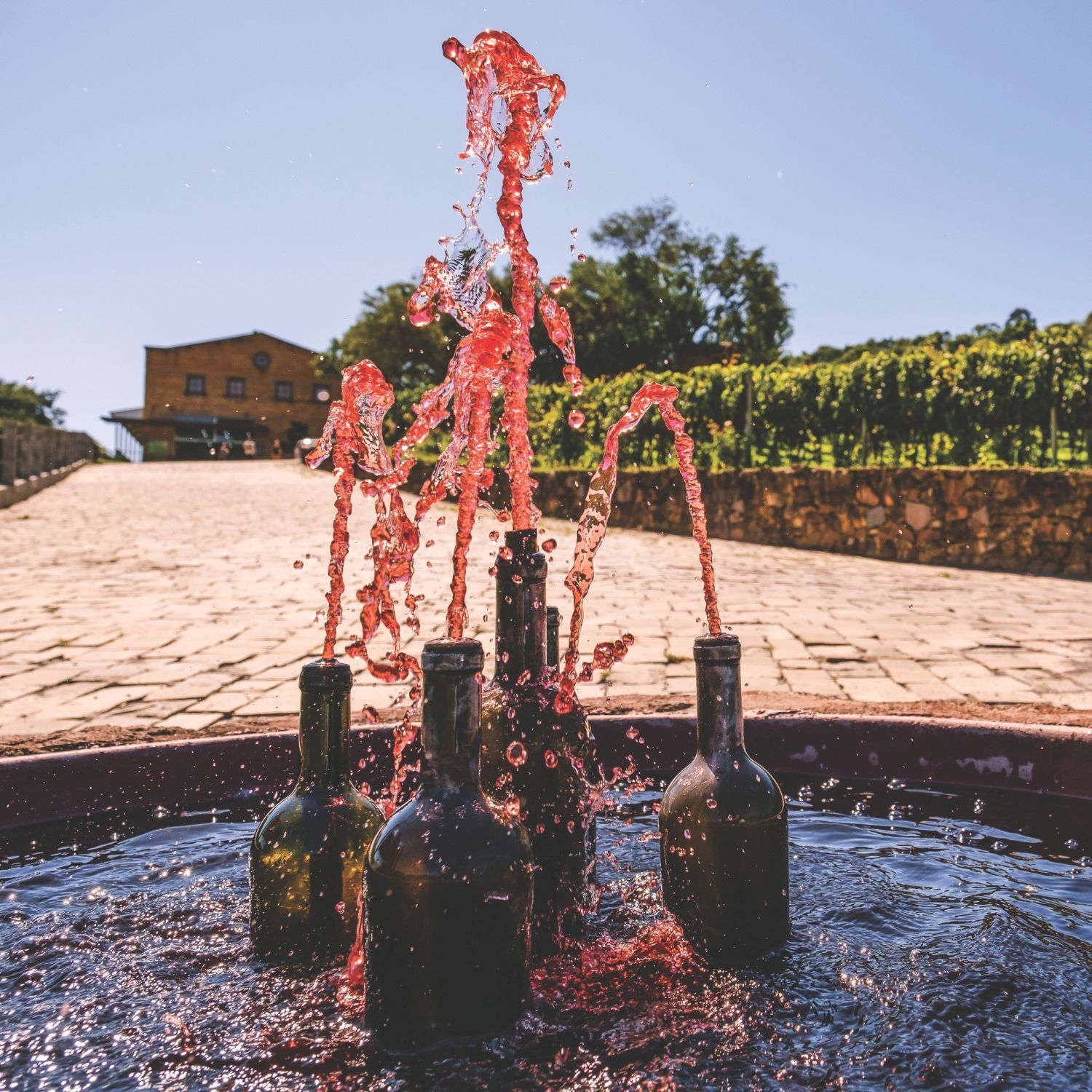 Vinícolas em Bento Gonçalves Vinícola Torcello