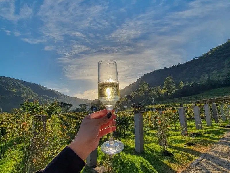 Vinícola Jolimont Vinícolas em Canela conheça as opções de enoturismo na cidade Blog Gramado Oficial Vinícola Jolimont Vinícolas em Canela conheça as opções de enoturismo na cidade Blog Gramado Oficial