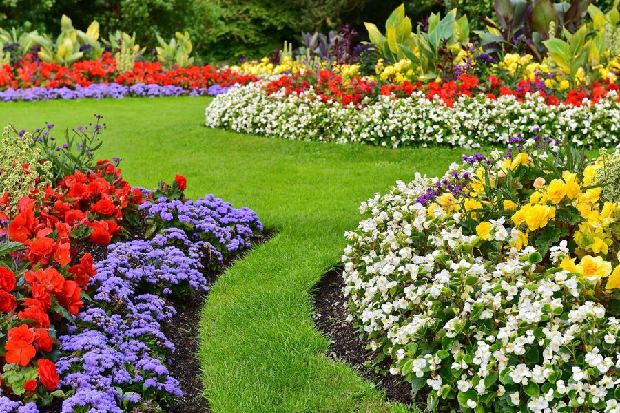 A colorful garden with curved flowerbeds of red, purple, white, and yellow flowers bordering a grassy path.