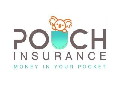 A logo for pouch insurance with a koala in a pocket