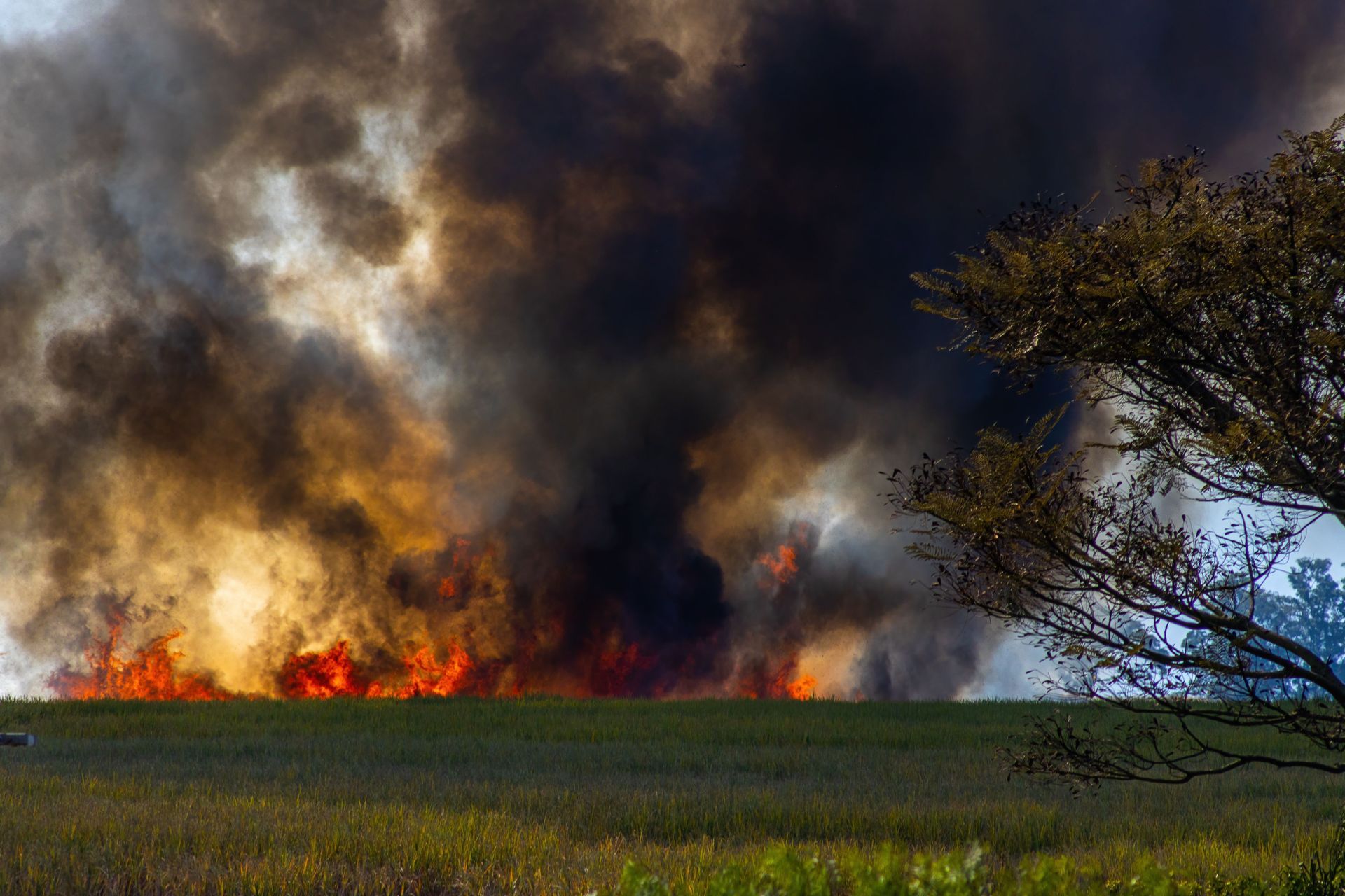 Grass fire burning through dry Texas pasture with heavy smoke during a Wise County summer burn ban s